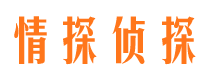 云县市调查公司